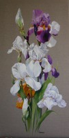 /album/jacqueline-legendre-huiles-sur-lin/a13-huile-sur-toile-de-lin-50-x-100-cm-comp-jpg/